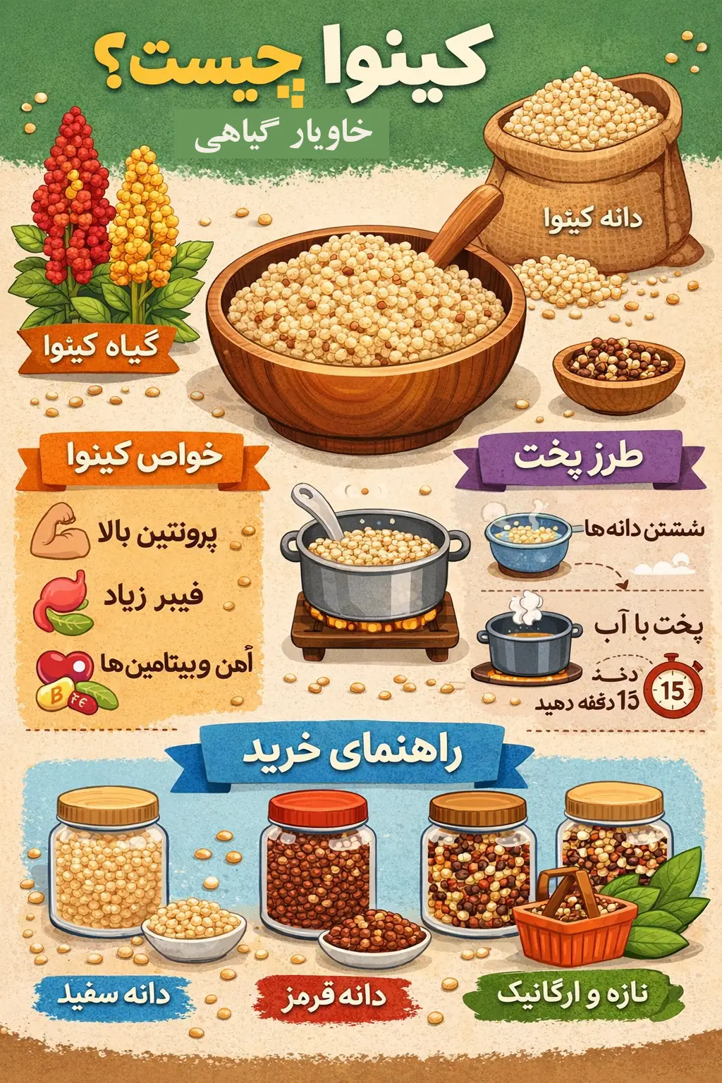 کینوا چیست؟ (خاویار گیاهی) | راهنمای کامل خواص، طرز پخت و خرید دانه کینوا