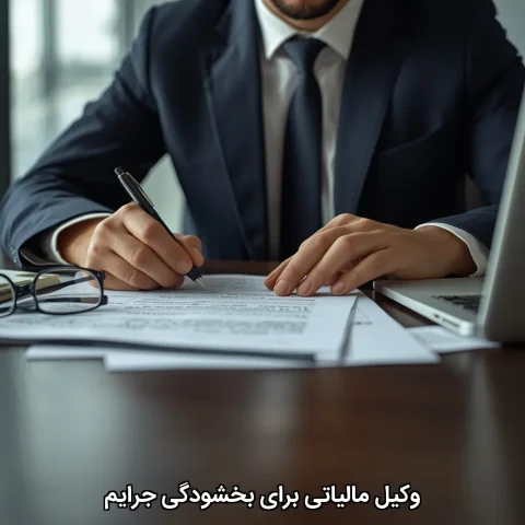وکیل مالیاتی برای بخشودگی جرایم